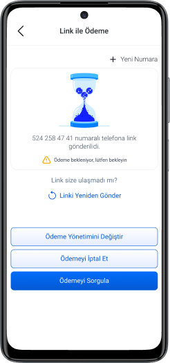 Link ile ödeme al